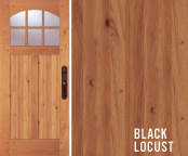 blackLocust