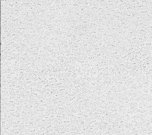 Armstrong Textured Ceiling Tiles