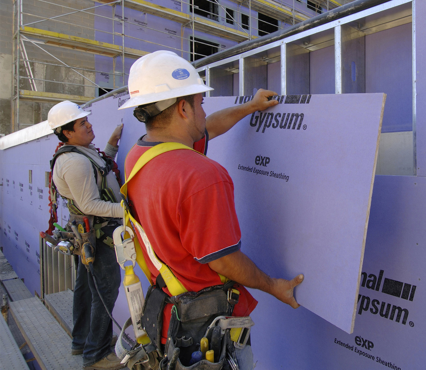 National Gypsum Purple Gold Bond eXP Extended Exposure Sheathing